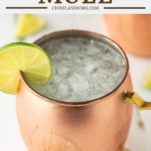 moscow mule in copper mug with lime