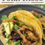 Mojo Pork Tacos Recipe - Chisel & Fork