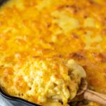spoon dipped in baked cheddar mac and cheese in skillet