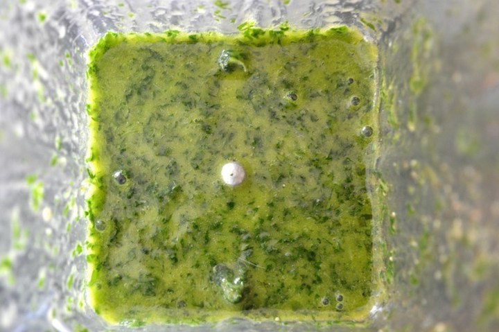 cilantro lime vinaigrette being blended in blender