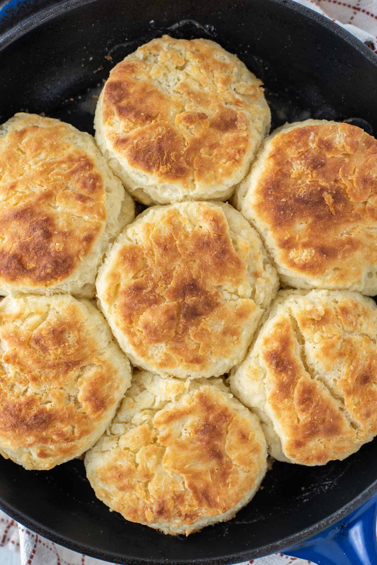 overhead shot of buttermilk biscuits in cast iron skillet