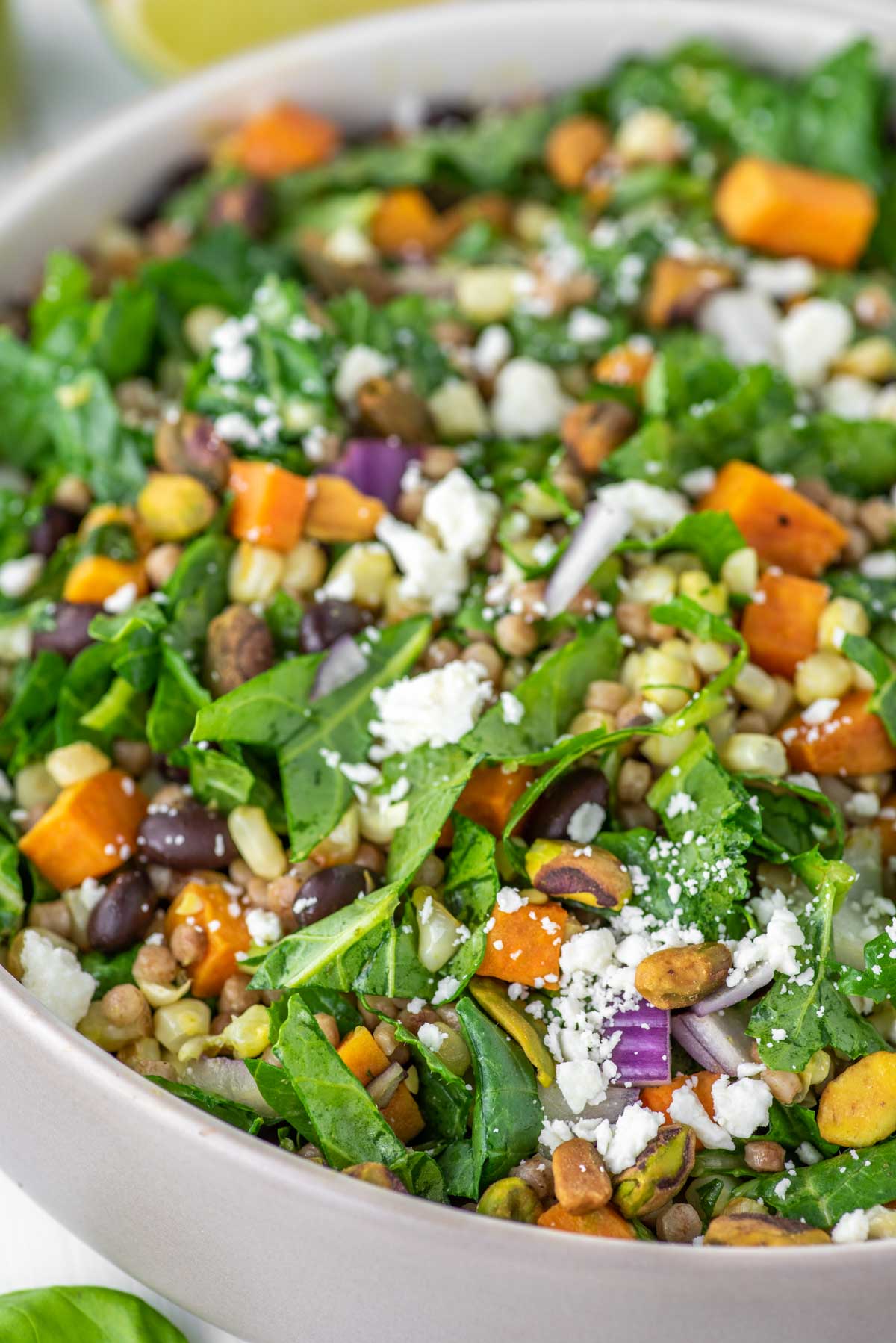 close-up of kale couscous salad