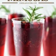 cranberry mimosa with rosemary in champagne flute glass