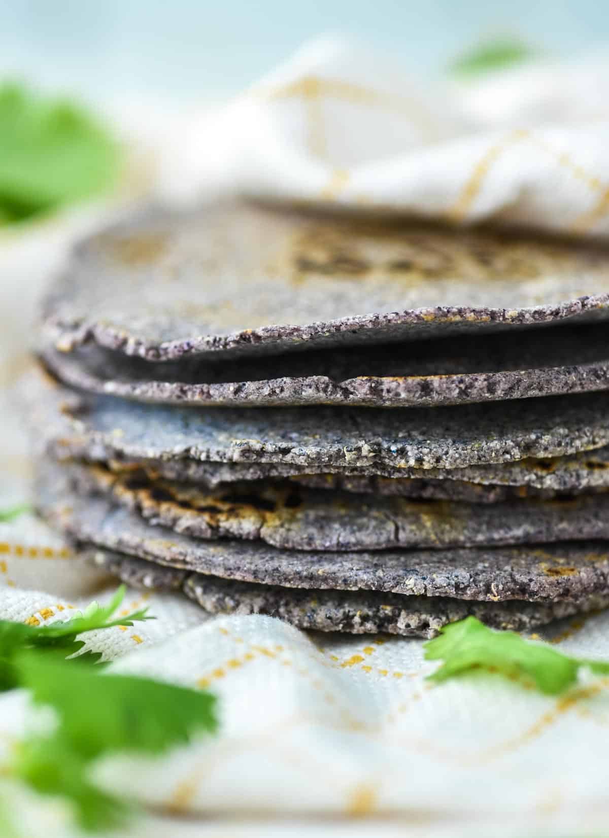 stacked homemade blue corn tortillas wrapped in dish towel