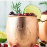 moscow mule with cranberries in copper mug
