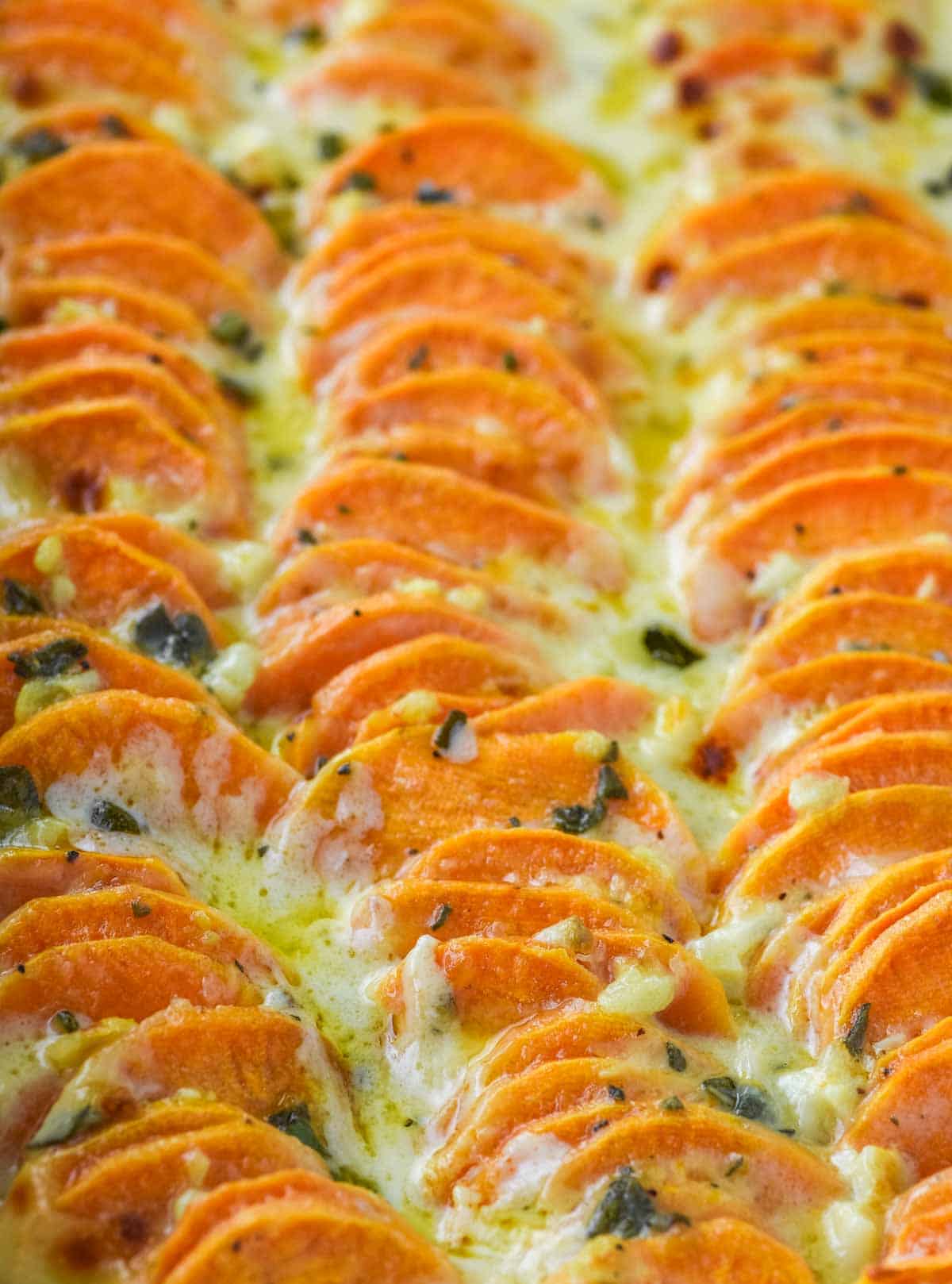 close-up of scalloped sweet potatoes in baking dish
