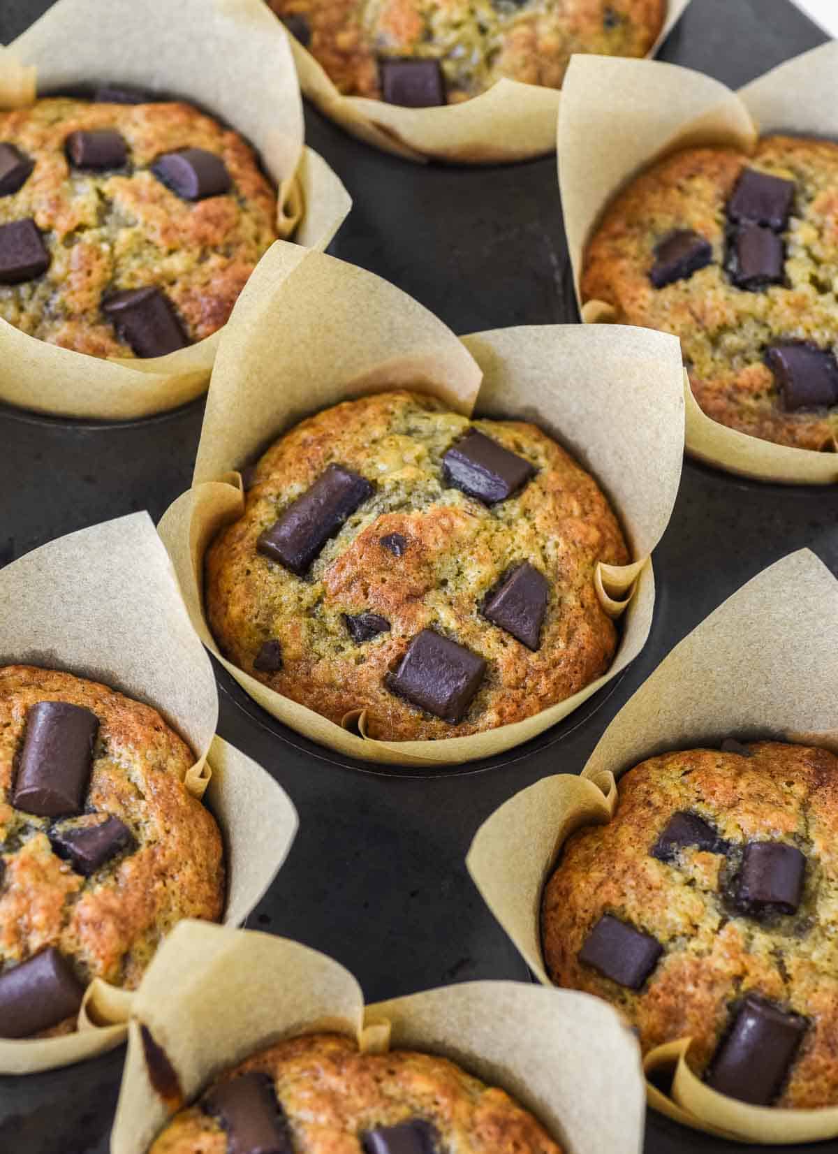 close-up of banana chocolate chunk muffins in muffin tin
